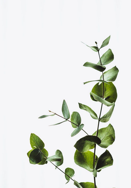 Schermafbeelding 2026-03-16 094023