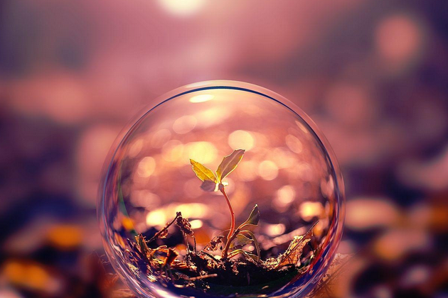 Schermafbeelding 2026-03-16 094243